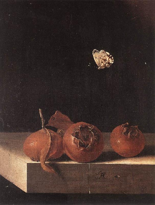 COORTE, Adriaen Three Medlars with a Butterfly zsdgf oil painting image